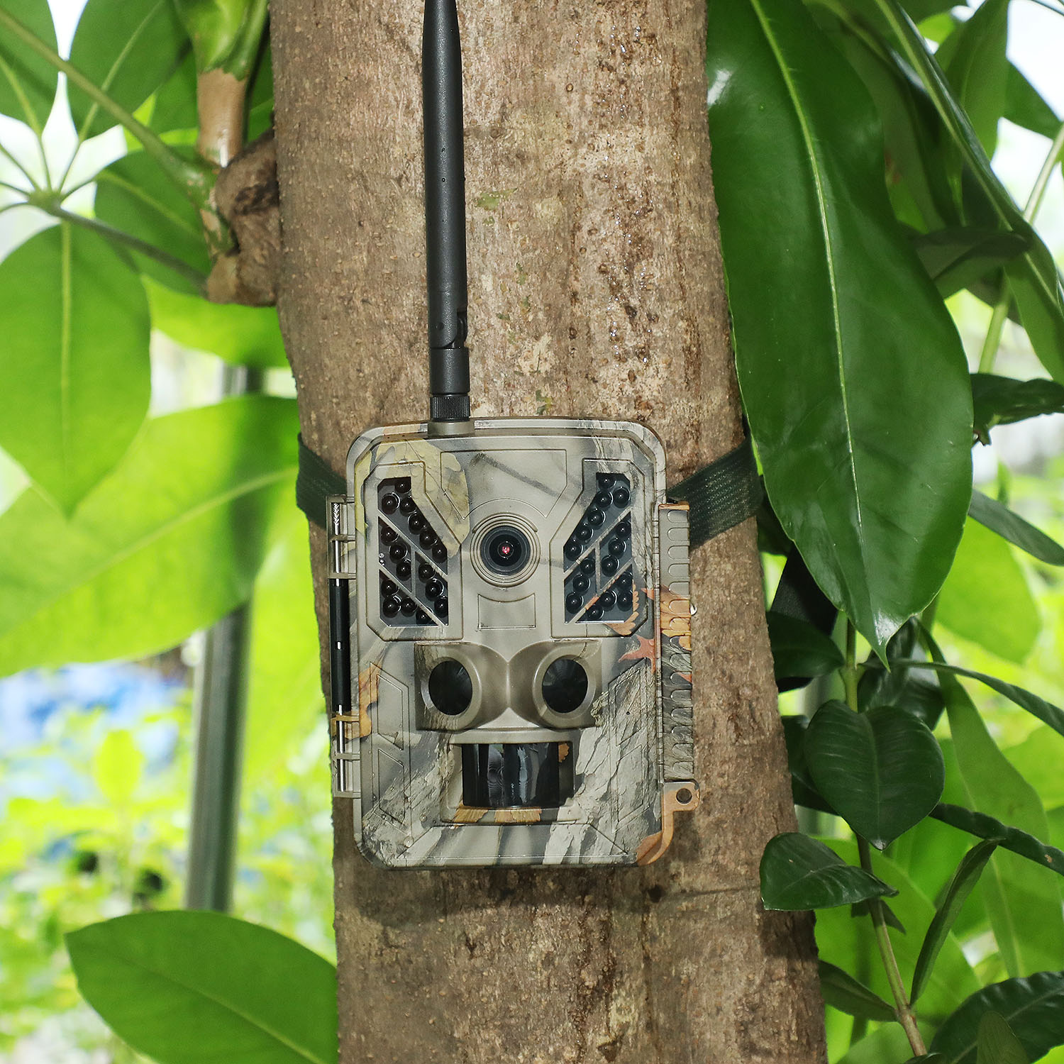 Vysoce kvalitní 36MP mobilní venkovní trailová kamera Ovládání aplikací MMS SMTP FTP 4G Scout kamera pro lov