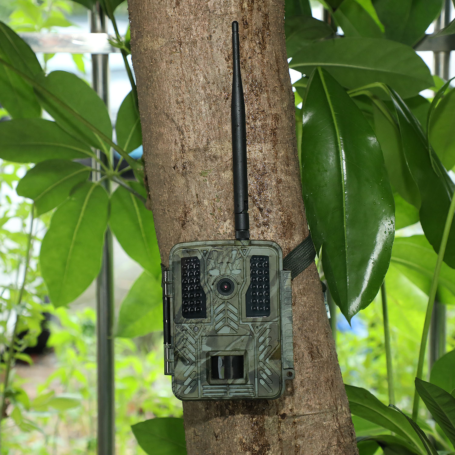 32MP 2,7K venkovní bezdrátová baterie WIFI Wildlife kamera 